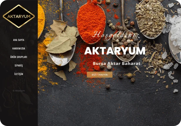 Aktaryum Kurumsal Web Sitesi