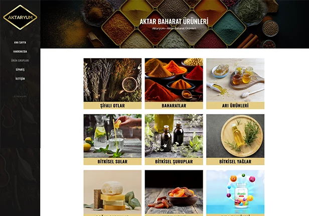 Aktaryum Kurumsal Web Sitesi